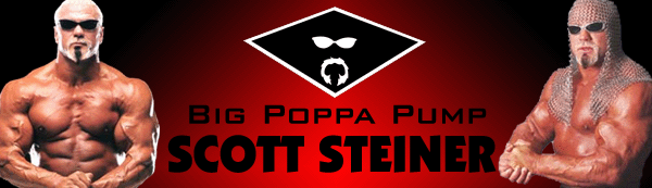 steiner_banner_w_new_logo.gif